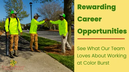 Career Thumbnail