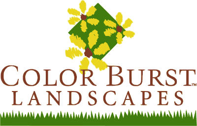 Color Burst Landscapes