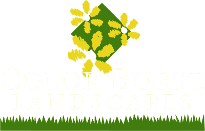 Color Burst Landscapes