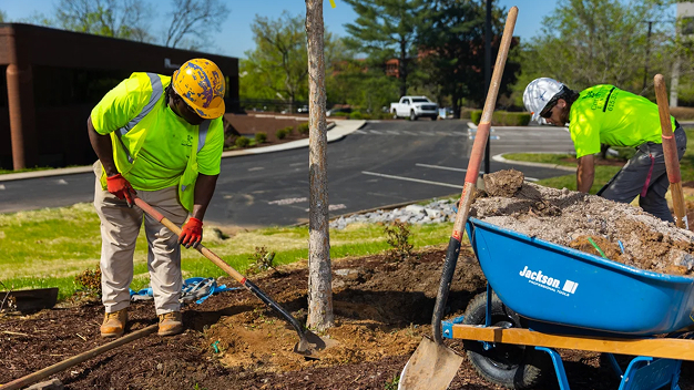 Commercial Landscape Installation